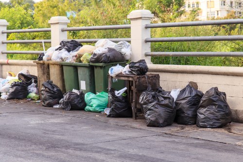 Innovative waste-to-energy technology combating mega rubbish